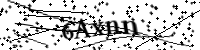 recaptcha image