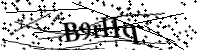 recaptcha image